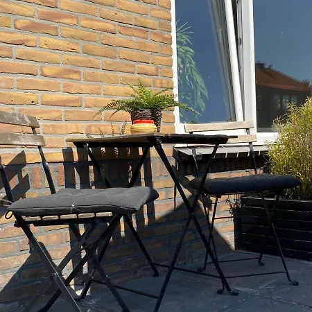 Short * 赞德沃特