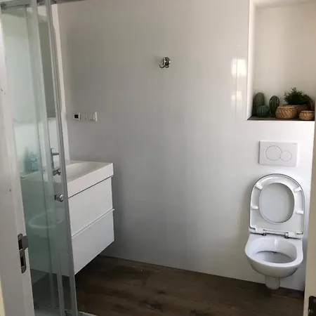 Short * زاندفورت